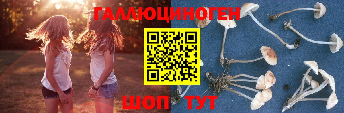 Ставрополь  Псилоцибиновые грибы Psilocybe  Вход с VPN 